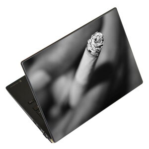 m[gp\R XLV[ XebJ[ \2Zbg \e1Zbg ǂ炩Iׂ NEC LAVIEp N1515 N1530 N1535 N1555 N1565 N1570 N1573 N1575 N1585 N153C N156D N157C LAVIE Smart N15 LAVIE Direct N15