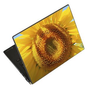 m[gp\R XLV[ XebJ[ \2Zbg \e1Zbg ǂ炩Iׂ NEC LAVIEp N1515 N1530 N1535 N1555 N1565 N1570 N1573 N1575 N1585 N153C N156D N157C LAVIE Smart N15 LAVIE Direct N15