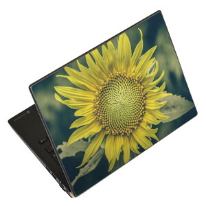 m[gp\R XLV[ XebJ[ \2Zbg \e1Zbg ǂ炩Iׂ NEC LAVIEp N1515 N1530 N1535 N1555 N1565 N1570 N1573 N1575 N1585 N153C N156D N157C LAVIE Smart N15 LAVIE Direct N15