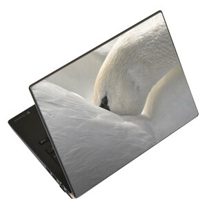 �m�[�g�p�\�R�� �X�L���V�[�� �X�e�b�J�[ �\��2���Z�b�g �\���e1���Z�b�g �ǂ��炩�I�ׂ� NEC LAVIE�p N1515 N1530 N1535 N1555 N1565 N1570 N1573 N1575 N1585 N153C N156D N157C LAVIE Smart N15 LAVIE Direct N15