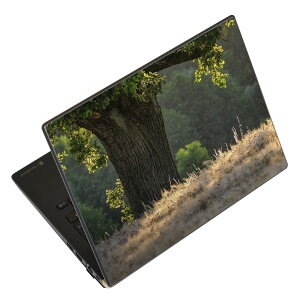 m[gp\R XLV[ XebJ[ \2Zbg \e1Zbg ǂ炩Iׂ NEC LAVIEp N1515 N1530 N1535 N1555 N1565 N1570 N1573 N1575 N1585 N153C N156D N157C LAVIE Smart N15 LAVIE Direct N15