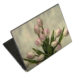 m[gp\R XLV[ XebJ[ \2Zbg \e1Zbg ǂ炩Iׂ NEC LAVIEp N1515 N1530 N1535 N1555 N1565 N1570 N1573 N1575 N1585 N153C N156D N157C LAVIE Smart N15 LAVIE Direct N15