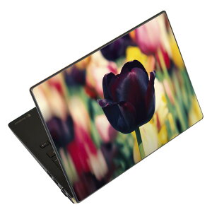 m[gp\R XLV[ XebJ[ \2Zbg \e1Zbg ǂ炩Iׂ NEC LAVIEp N1515 N1530 N1535 N1555 N1565 N1570 N1573 N1575 N1585 N153C N156D N157C LAVIE Smart N15 LAVIE Direct N15