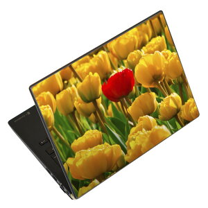 m[gp\R XLV[ XebJ[ \2Zbg \e1Zbg ǂ炩Iׂ NEC LAVIEp N1515 N1530 N1535 N1555 N1565 N1570 N1573 N1575 N1585 N153C N156D N157C LAVIE Smart N15 LAVIE Direct N15