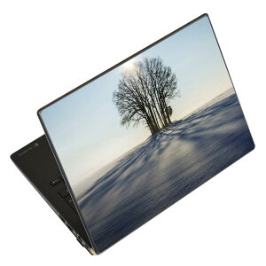 m[gp\R XLV[ XebJ[ \2Zbg \e1Zbg ǂ炩Iׂ NEC LAVIEp N1515 N1530 N1535 N1555 N1565 N1570 N1573 N1575 N1585 N153C N156D N157C LAVIE Smart N15 LAVIE Direct N15