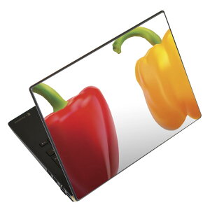 ノートパソコン スキンシール 17インチまで対応 汎用ステッカー 2枚セット LAVIE用 FMV用 LIFEBOOK用 Dynabook用 Lenovo用 Thinkbook用 IdeaPad用 HP用 Pavillon用 ENVY用 Elite用 Dell用 Vostro用 Inspiron用 VAIO用 025599