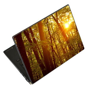 m[gp\R XLV[ 13.3C`܂őΉ ėpXebJ[ 2Zbg LAVIEp FMVp LIFEBOOKp Dynabookp Lenovop Thinkbookp IdeaPadp HPp Pavillonp ENVYp Elitep Dellp Vostrop Inspironp VAIOp 025682
