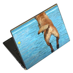 ノートパソコン スキンシール 13.3インチまで対応 汎用ステッカー 2枚セット LAVIE用 FMV用 LIFEBOOK用 Dynabook用 Lenovo用 Thinkbook用 IdeaPad用 HP用 Pavillon用 ENVY用 Elite用 Dell用 Vostro用 Inspiron用 VAIO用 025713