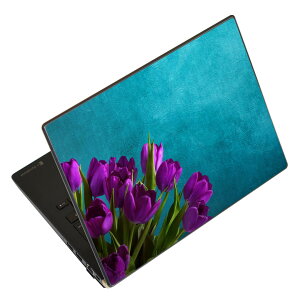 �m�[�g�p�\�R�� �X�L���V�[�� 13.3�C���`�܂őΉ� �ėp�X�e�b�J�[ 2���Z�b�g LAVIE�p FMV�p LIFEBOOK�p Dynabook�p Lenovo�p Thinkbook�p IdeaPad�p HP�p Pavillon�p ENVY�p Elite�p Dell�p Vostro�p Inspiron�p VAIO�p 025717