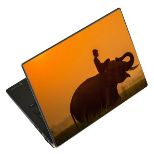 �m�[�g�p�\�R�� �X�L���V�[�� 17�C���`�܂őΉ� �ėp�X�e�b�J�[ 2���Z�b�g LAVIE�p FMV�p LIFEBOOK�p Dynabook�p Lenovo�p Thinkbook�p IdeaPad�p HP�p Pavillon�p ENVY�p Elite�p Dell�p Vostro�p Inspiron�p VAIO�p 025736 