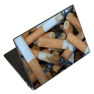 ノートパソコン スキンシール 17インチまで対応 汎用ステッカー 2枚セット LAVIE用 FMV用 LIFEBOOK用 Dynabook用 Lenovo用 Thinkbook用 IdeaPad用 HP用 Pavillon用 ENVY用 Elite用 Dell用 Vostro用 Inspiron用 VAIO用 025748