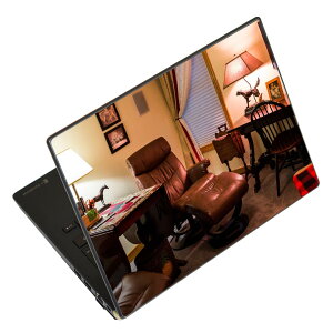 �m�[�g�p�\�R�� �X�L���V�[�� 13.3�C���`�܂őΉ� �ėp�X�e�b�J�[ 2���Z�b�g LAVIE�p FMV�p LIFEBOOK�p Dynabook�p Lenovo�p Thinkbook�p IdeaPad�p HP�p Pavillon�p ENVY�p Elite�p Dell�p Vostro�p Inspiron�p VAIO�p 025756