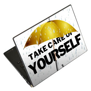 �m�[�g�p�\�R�� �X�L���V�[�� 13.3�C���`�܂őΉ� �ėp�X�e�b�J�[ 2���Z�b�g LAVIE�p FMV�p LIFEBOOK�p Dynabook�p Lenovo�p Thinkbook�p IdeaPad�p HP�p Pavillon�p ENVY�p Elite�p Dell�p Vostro�p Inspiron�p VAIO�p 025801