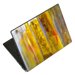 �m�[�g�p�\�R�� �X�L���V�[�� 13.3�C���`�܂őΉ� �ėp�X�e�b�J�[ 2���Z�b�g LAVIE�p FMV�p LIFEBOOK�p Dynabook�p Lenovo�p Thinkbook�p IdeaPad�p HP�p Pavillon�p ENVY�p Elite�p Dell�p Vostro�p Inspiron�p VAIO�p 025926