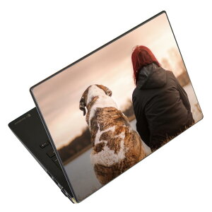 �m�[�g�p�\�R�� �X�L���V�[�� 17�C���`�܂őΉ� �ėp�X�e�b�J�[ 2���Z�b�g LAVIE�p FMV�p LIFEBOOK�p Dynabook�p Lenovo�p Thinkbook�p IdeaPad�p HP�p Pavillon�p ENVY�p Elite�p Dell�p Vostro�p Inspiron�p VAIO�p 025945 