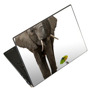 �m�[�g�p�\�R�� �X�L���V�[�� 17�C���`�܂őΉ� �ėp�X�e�b�J�[ 2���Z�b�g LAVIE�p FMV�p LIFEBOOK�p Dynabook�p Lenovo�p Thinkbook�p IdeaPad�p HP�p Pavillon�p ENVY�p Elite�p Dell�p Vostro�p Inspiron�p VAIO�p 025968 