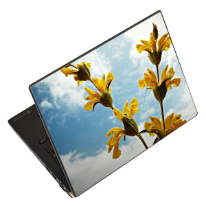 �m�[�g�p�\�R�� �X�L���V�[�� 13.3�C���`�܂őΉ� �ėp�X�e�b�J�[ 2���Z�b�g LAVIE�p FMV�p LIFEBOOK�p Dynabook�p Lenovo�p Thinkbook�p IdeaPad�p HP�p Pavillon�p ENVY�p Elite�p Dell�p Vostro�p Inspiron�p VAIO�p 026000