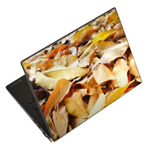 �m�[�g�p�\�R�� �X�L���V�[�� 13.3�C���`�܂őΉ� �ėp�X�e�b�J�[ 2���Z�b�g LAVIE�p FMV�p LIFEBOOK�p Dynabook�p Lenovo�p Thinkbook�p IdeaPad�p HP�p Pavillon�p ENVY�p Elite�p Dell�p Vostro�p Inspiron�p VAIO�p 026011