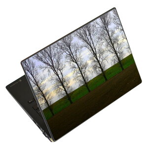 ノートパソコン スキンシール 17インチまで対応 汎用ステッカー 2枚セット LAVIE用 FMV用 LIFEBOOK用 Dynabook用 Lenovo用 Thinkbook用 IdeaPad用 HP用 Pavillon用 ENVY用 Elite用 Dell用 Vostro用 Inspiron用 VAIO用 026013