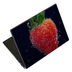 �m�[�g�p�\�R�� �X�L���V�[�� 13.3�C���`�܂őΉ� �ėp�X�e�b�J�[ 2���Z�b�g LAVIE�p FMV�p LIFEBOOK�p Dynabook�p Lenovo�p Thinkbook�p IdeaPad�p HP�p Pavillon�p ENVY�p Elite�p Dell�p Vostro�p Inspiron�p VAIO�p 026017