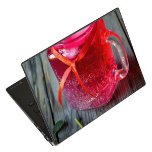 �m�[�g�p�\�R�� �X�L���V�[�� 13.3�C���`�܂őΉ� �ėp�X�e�b�J�[ 2���Z�b�g LAVIE�p FMV�p LIFEBOOK�p Dynabook�p Lenovo�p Thinkbook�p IdeaPad�p HP�p Pavillon�p ENVY�p Elite�p Dell�p Vostro�p Inspiron�p VAIO�p 026020