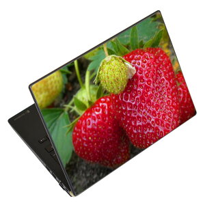 m[gp\R XLV[ 13.3C`܂őΉ ėpXebJ[ 2Zbg LAVIEp FMVp LIFEBOOKp Dynabookp Lenovop Thinkbookp IdeaPadp HPp Pavillonp ENVYp Elitep Dellp Vostrop Inspironp VAIOp 026024