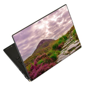 �m�[�g�p�\�R�� �X�L���V�[�� 17�C���`�܂őΉ� �ėp�X�e�b�J�[ 2���Z�b�g LAVIE�p FMV�p LIFEBOOK�p Dynabook�p Lenovo�p Thinkbook�p IdeaPad�p HP�p Pavillon�p ENVY�p Elite�p Dell�p Vostro�p Inspiron�p VAIO�p 026037 