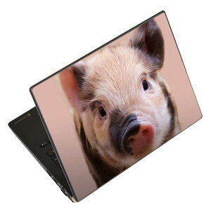 �m�[�g�p�\�R�� �X�L���V�[�� 13.3�C���`�܂őΉ� �ėp�X�e�b�J�[ 2���Z�b�g LAVIE�p FMV�p LIFEBOOK�p Dynabook�p Lenovo�p Thinkbook�p IdeaPad�p HP�p Pavillon�p ENVY�p Elite�p Dell�p Vostro�p Inspiron�p VAIO�p 026057