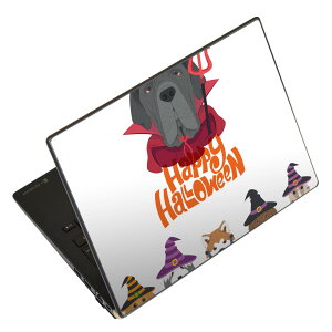 �m�[�g�p�\�R�� �X�L���V�[�� 13.3�C���`�܂őΉ� �ėp�X�e�b�J�[ 2���Z�b�g LAVIE�p FMV�p LIFEBOOK�p Dynabook�p Lenovo�p Thinkbook�p IdeaPad�p HP�p Pavillon�p ENVY�p Elite�p Dell�p Vostro�p Inspiron�p VAIO�p 026114