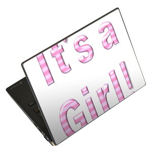 m[gp\R XLV[ 17C`܂őΉ ėpXebJ[ 2Zbg LAVIEp FMVp LIFEBOOKp Dynabookp Lenovop Thinkbookp IdeaPadp HPp Pavillonp ENVYp Elitep Dellp Vostrop Inspironp VAIOp 026151 