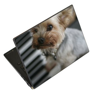 m[gp\R XLV[ 17C`܂őΉ ėpXebJ[ 2Zbg LAVIEp FMVp LIFEBOOKp Dynabookp Lenovop Thinkbookp IdeaPadp HPp Pavillonp ENVYp Elitep Dellp Vostrop Inspironp VAIOp 004565 