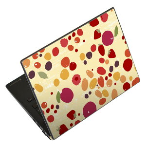 �m�[�g�p�\�R�� �X�L���V�[�� 17�C���`�܂őΉ� �ėp�X�e�b�J�[ 2���Z�b�g LAVIE�p FMV�p LIFEBOOK�p Dynabook�p Lenovo�p Thinkbook�p IdeaPad�p HP�p Pavillon�p ENVY�p Elite�p Dell�p Vostro�p Inspiron�p VAIO�p 004860 