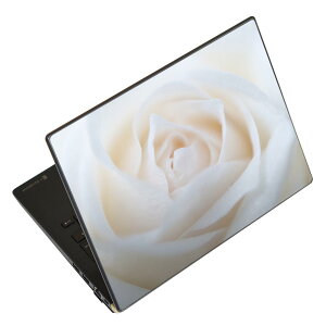 �m�[�g�p�\�R�� �X�L���V�[�� 17�C���`�܂őΉ� �ėp�X�e�b�J�[ 2���Z�b�g LAVIE�p FMV�p LIFEBOOK�p Dynabook�p Lenovo�p Thinkbook�p IdeaPad�p HP�p Pavillon�p ENVY�p Elite�p Dell�p Vostro�p Inspiron�p VAIO�p 005080 