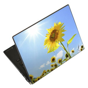 �m�[�g�p�\�R�� �X�L���V�[�� 13.3�C���`�܂őΉ� �ėp�X�e�b�J�[ 2���Z�b�g LAVIE�p FMV�p LIFEBOOK�p Dynabook�p Lenovo�p Thinkbook�p IdeaPad�p HP�p Pavillon�p ENVY�p Elite�p Dell�p Vostro�p Inspiron�p VAIO�p 005089