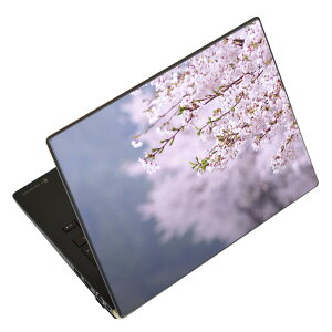 m[gp\R XLV[ 13.3C`܂őΉ ėpXebJ[ 2Zbg LAVIEp FMVp LIFEBOOKp Dynabookp Lenovop Thinkbookp IdeaPadp HPp Pavillonp ENVYp Elitep Dellp Vostrop Inspironp VAIOp 005163