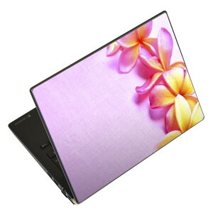 �m�[�g�p�\�R�� �X�L���V�[�� 17�C���`�܂őΉ� �ėp�X�e�b�J�[ 2���Z�b�g LAVIE�p FMV�p LIFEBOOK�p Dynabook�p Lenovo�p Thinkbook�p IdeaPad�p HP�p Pavillon�p ENVY�p Elite�p Dell�p Vostro�p Inspiron�p VAIO�p 005418 