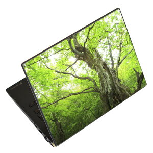 m[gp\R XLV[ XebJ[ \2Zbg \e1Zbg ǂ炩Iׂ NEC LAVIEp N1515 N1530 N1535 N1555 N1565 N1570 N1573 N1575 N1585 N153C N156D N157C LAVIE Smart N15 LAVIE Direct N15