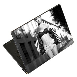 �m�[�g�p�\�R�� �X�L���V�[�� 13.3�C���`�܂őΉ� �ėp�X�e�b�J�[ 2���Z�b�g LAVIE�p FMV�p LIFEBOOK�p Dynabook�p Lenovo�p Thinkbook�p IdeaPad�p HP�p Pavillon�p ENVY�p Elite�p Dell�p Vostro�p Inspiron�p VAIO�p 005528