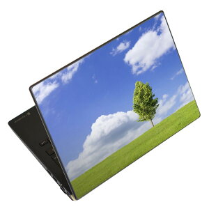 �m�[�g�p�\�R�� �X�L���V�[�� 17�C���`�܂őΉ� �ėp�X�e�b�J�[ 2���Z�b�g LAVIE�p FMV�p LIFEBOOK�p Dynabook�p Lenovo�p Thinkbook�p IdeaPad�p HP�p Pavillon�p ENVY�p Elite�p Dell�p Vostro�p Inspiron�p VAIO�p 005883 