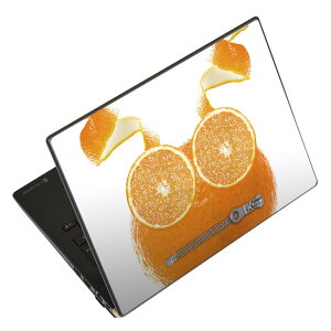 �m�[�g�p�\�R�� �X�L���V�[�� 13.3�C���`�܂őΉ� �ėp�X�e�b�J�[ 2���Z�b�g LAVIE�p FMV�p LIFEBOOK�p Dynabook�p Lenovo�p Thinkbook�p IdeaPad�p HP�p Pavillon�p ENVY�p Elite�p Dell�p Vostro�p Inspiron�p VAIO�p 005925