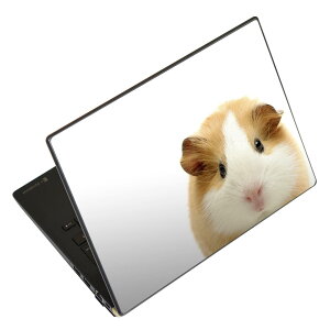 m[gp\R XLV[ 13.3C`܂őΉ ėpXebJ[ 2Zbg LAVIEp FMVp LIFEBOOKp Dynabookp Lenovop Thinkbookp IdeaPadp HPp Pavillonp ENVYp Elitep Dellp Vostrop Inspironp VAIOp 006036