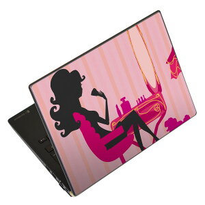 �m�[�g�p�\�R�� �X�L���V�[�� 17�C���`�܂őΉ� �ėp�X�e�b�J�[ 2���Z�b�g LAVIE�p FMV�p LIFEBOOK�p Dynabook�p Lenovo�p Thinkbook�p IdeaPad�p HP�p Pavillon�p ENVY�p Elite�p Dell�p Vostro�p Inspiron�p VAIO�p 006140 