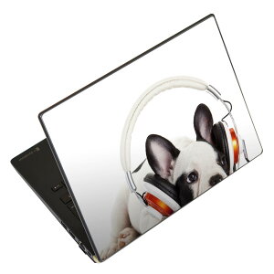 m[gp\R XLV[ XebJ[ \2Zbg \e1Zbg ǂ炩Iׂ NEC LAVIEp N1515 N1530 N1535 N1555 N1565 N1570 N1573 N1575 N1585 N153C N156D N157C LAVIE Smart N15 LAVIE Direct N15