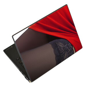 �m�[�g�p�\�R�� �X�L���V�[�� 17�C���`�܂őΉ� �ėp�X�e�b�J�[ 2���Z�b�g LAVIE�p FMV�p LIFEBOOK�p Dynabook�p Lenovo�p Thinkbook�p IdeaPad�p HP�p Pavillon�p ENVY�p Elite�p Dell�p Vostro�p Inspiron�p VAIO�p 006363 
