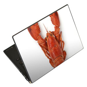 ノートパソコン スキンシール 17インチまで対応 汎用ステッカー 2枚セット LAVIE用 FMV用 LIFEBOOK用 Dynabook用 Lenovo用 Thinkbook用 IdeaPad用 HP用 Pavillon用 ENVY用 Elite用 Dell用 Vostro用 Inspiron用 VAIO用 006638