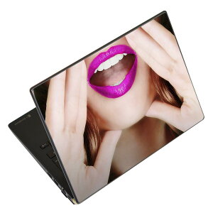 �m�[�g�p�\�R�� �X�L���V�[�� 13.3�C���`�܂őΉ� �ėp�X�e�b�J�[ 2���Z�b�g LAVIE�p FMV�p LIFEBOOK�p Dynabook�p Lenovo�p Thinkbook�p IdeaPad�p HP�p Pavillon�p ENVY�p Elite�p Dell�p Vostro�p Inspiron�p VAIO�p 007447
