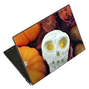 �m�[�g�p�\�R�� �X�L���V�[�� 13.3�C���`�܂őΉ� �ėp�X�e�b�J�[ 2���Z�b�g LAVIE�p FMV�p LIFEBOOK�p Dynabook�p Lenovo�p Thinkbook�p IdeaPad�p HP�p Pavillon�p ENVY�p Elite�p Dell�p Vostro�p Inspiron�p VAIO�p 007956