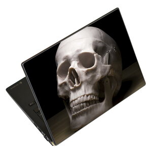 m[gp\R XLV[ 13.3C`܂őΉ ėpXebJ[ 2Zbg LAVIEp FMVp LIFEBOOKp Dynabookp Lenovop Thinkbookp IdeaPadp HPp Pavillonp ENVYp Elitep Dellp Vostrop Inspironp VAIOp 007989