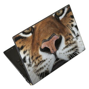 m[gp\R XLV[ XebJ[ \2Zbg \e1Zbg ǂ炩Iׂ NEC LAVIEp N1515 N1530 N1535 N1555 N1565 N1570 N1573 N1575 N1585 N153C N156D N157C LAVIE Smart N15 LAVIE Direct N15