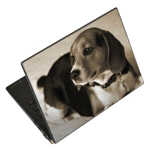 �m�[�g�p�\�R�� �X�L���V�[�� �X�e�b�J�[ �\��2���Z�b�g �\���e1���Z�b�g �ǂ��炩�I�ׂ� NEC LAVIE�p N1515 N1530 N1535 N1555 N1565 N1570 N1573 N1575 N1585 N153C N156D N157C LAVIE Smart N15 LAVIE Direct N15